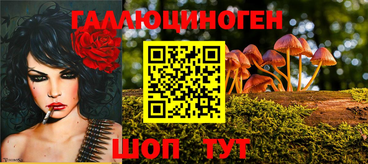 Псилоцибиновые грибы мицелий  Вход с VPN  Елабуга 